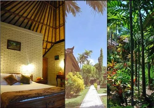 Hidden Paradise Cottages 3