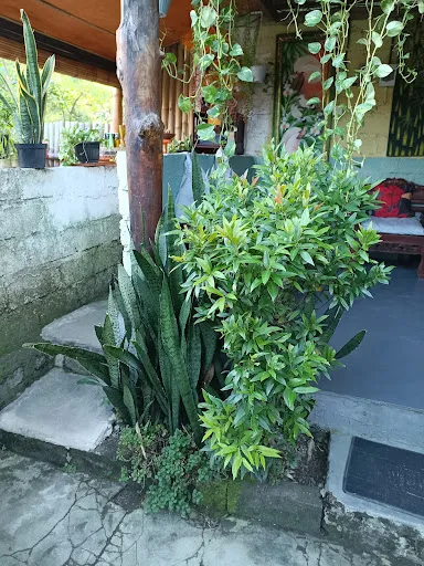 THE BAMBOO SWEET SPA | The Best Spa Amed 2024 4