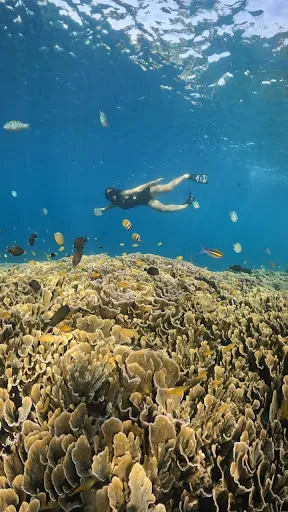 MADE AMED SNORKELING TOURS |Fishing & Sunset Best in Amed 3