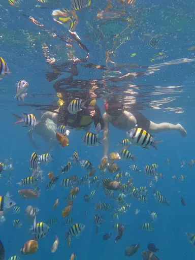 MADE AMED SNORKELING TOURS |Fishing & Sunset Best in Amed 4