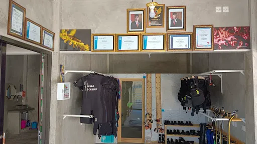 Diving Scuba Odessey Amed 3