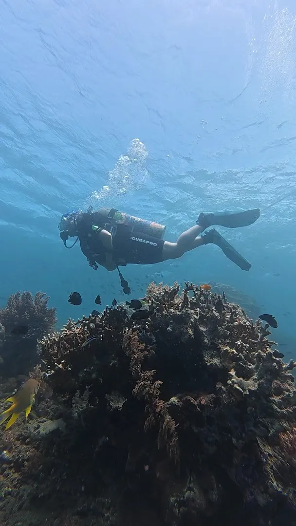 Banyuwangi Diving School 1