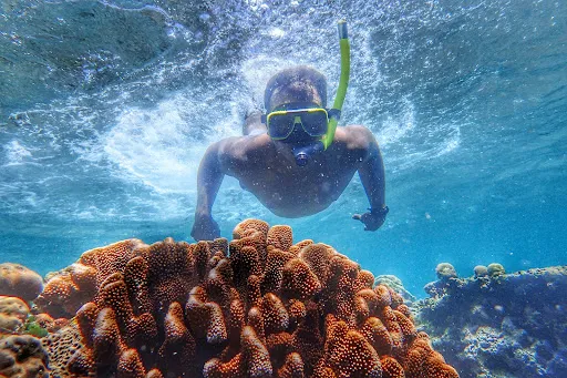 Menjangan Island 3