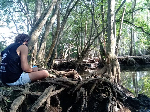 Tourist Information Center. Bali Barat National Park. 4