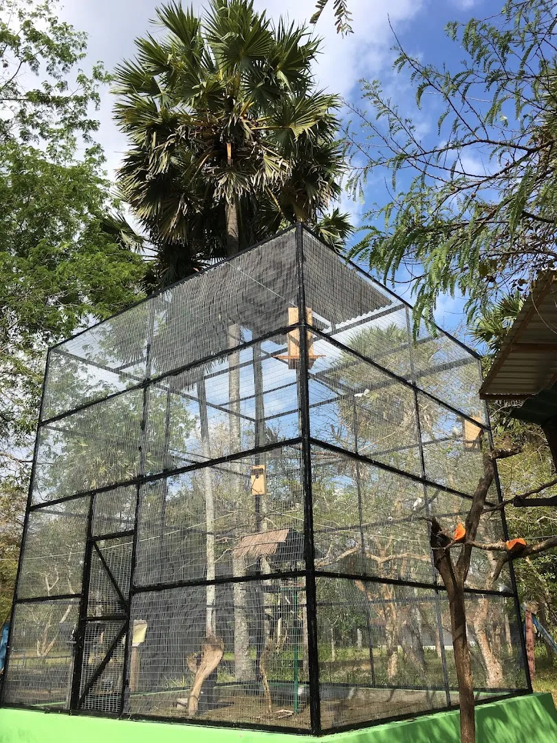 Campgrounds Hall West Bali National Park 3