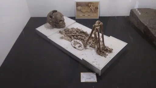 Museum Situs Purbakala 2