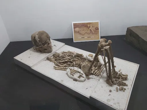 Museum Manusia Purba Gilimanuk 4