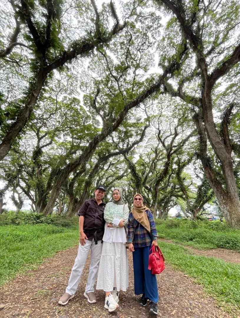 banyuwangiijentrip.com 3