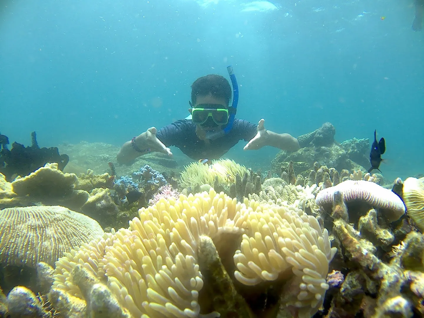 Bangsring Underwater 2
