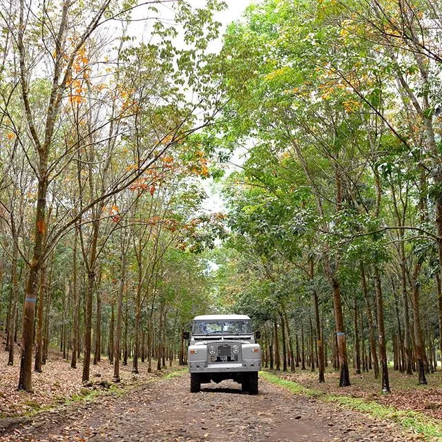 Perkebunan Kali Klatak 2