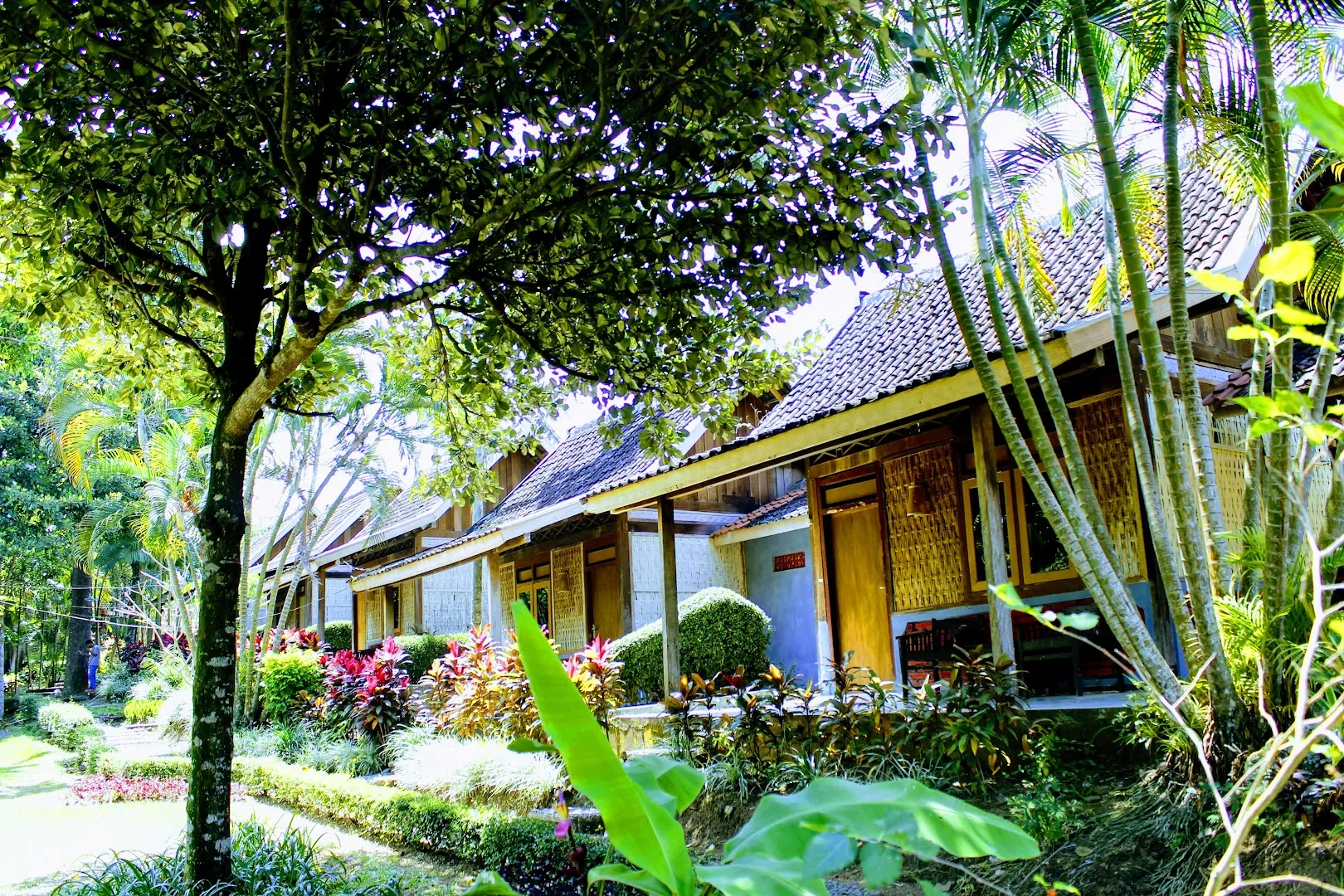 Tourism Village Osing 4
