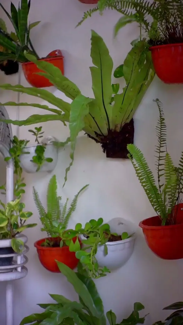 SNOOZE Ijen Hostel 1