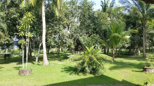 Hotel Hapel Negara 3