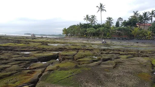 Sewa Mobil + Sopir Jembrana 1