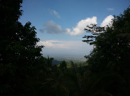 Sewa Mobil + Sopir Jembrana 2