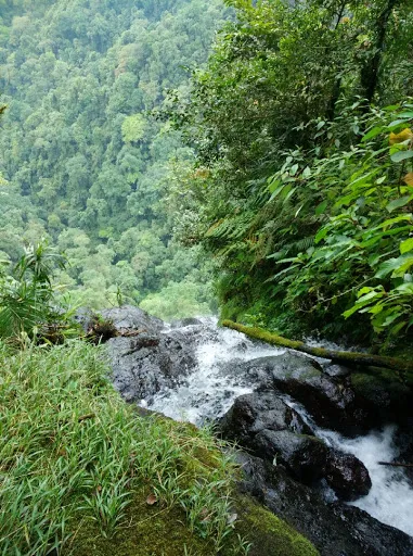 Sewa Mobil + Sopir Jembrana 3