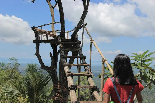 Wisata Puncak JR Jembrana Bali 4