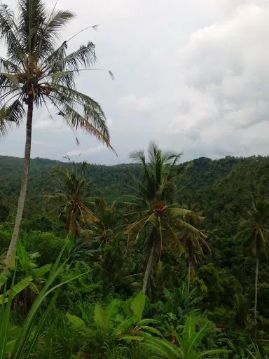 Monumen Lembah Merdeka 1