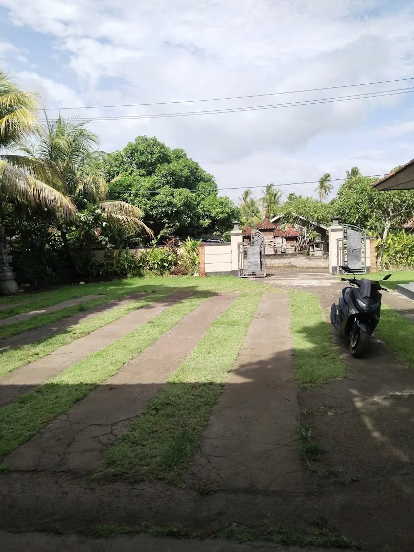 Pemuteran Transport Service 2