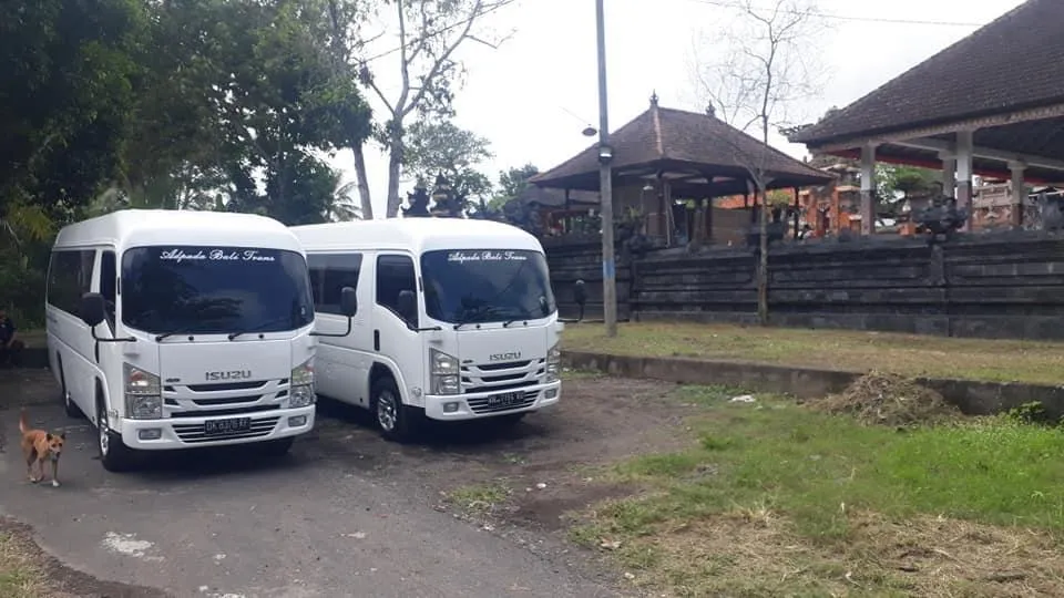 Pemuteran Transport Service 4
