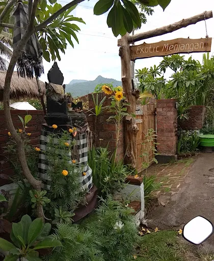 Exotic Menjangan 3