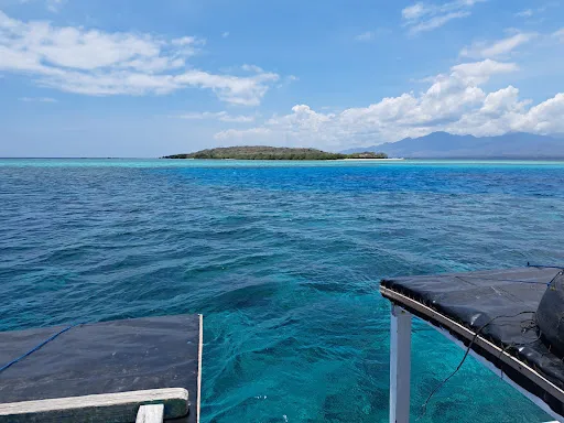 Ray Menjangan Dive 3