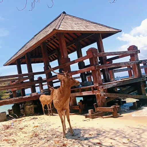 Banyumandi Bali Barat (West Bali) National Park office 3