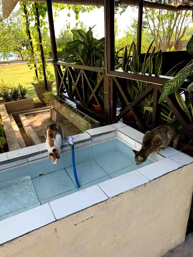 sari dive & cottage 2