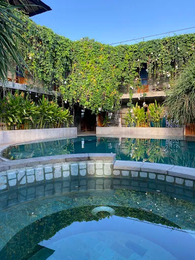 Mangroove Bay Boutique Hostel 2