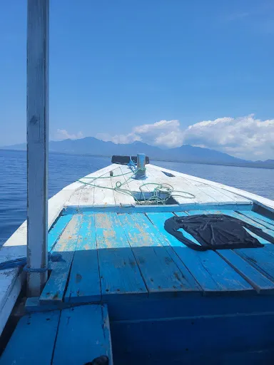 Snorkeling Menjangan 1