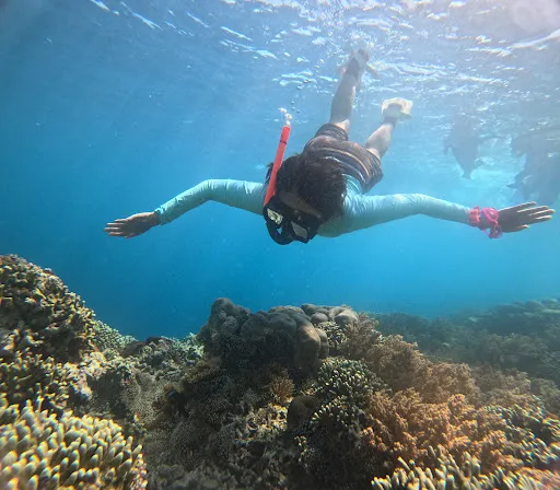 Snorkeling Menjangan 2