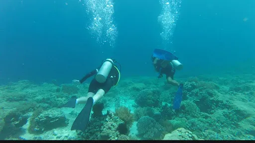 Mimpi Dive Center Menjangan 1