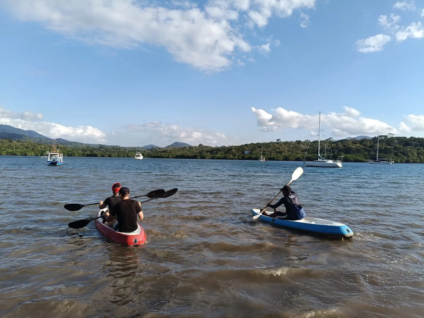 Snorkeling Menjangan Tour & Travel 3