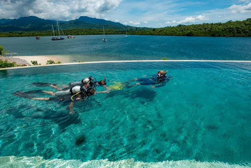 Bali Hai Diving Adventures Menjangan 4