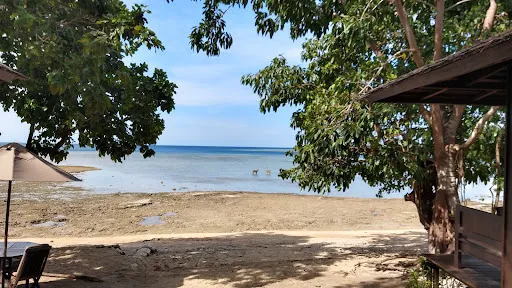 The Menjangan Beach Villas 3