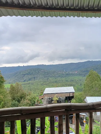 Northwest bali taxi tour 2