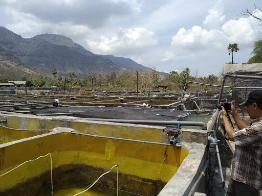 Pemuteran Park