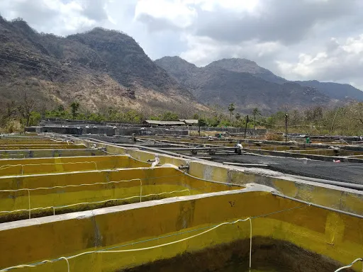 Pemuteran Park 3