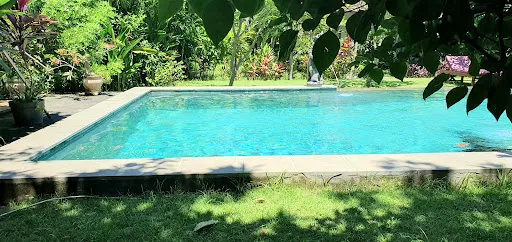 Mango Moon Guesthouse 2