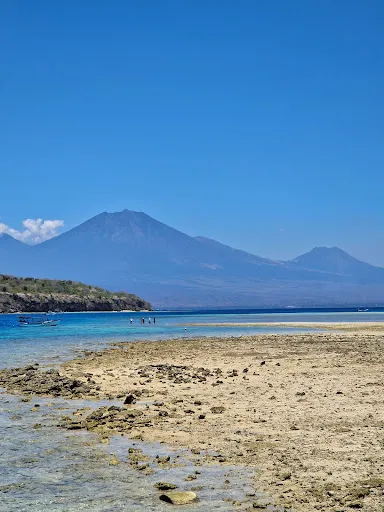 Dive Concepts Pemuteran 4