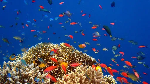 FUNFUN DIVE CENTER 1