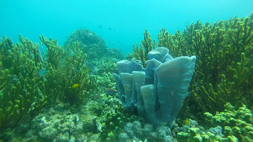 FUNFUN DIVE CENTER 2