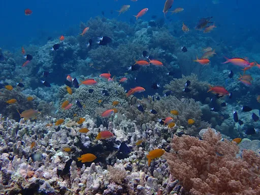 FUNFUN DIVE CENTER 3