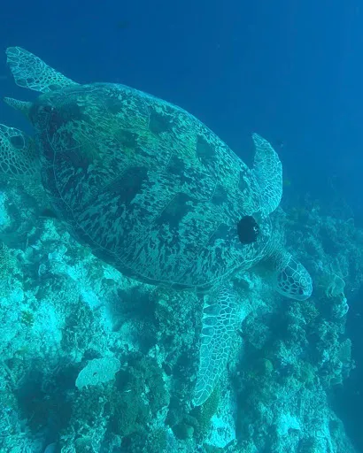FUNFUN DIVE CENTER 4