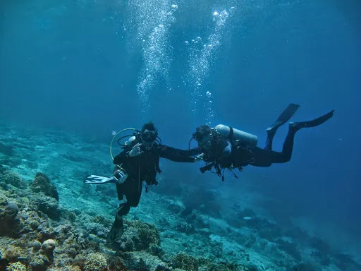 OCEAN DREAMS Pemuteran 2