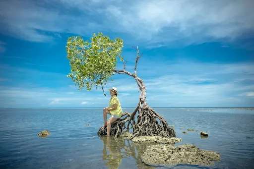Tanjung Budaya Pemuteran 4