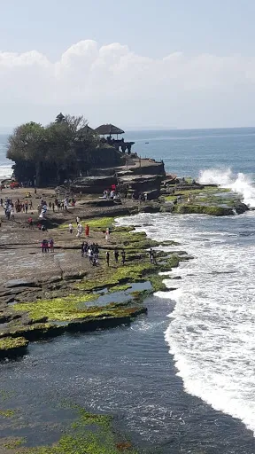 Pemuteran Transport Taxi 2