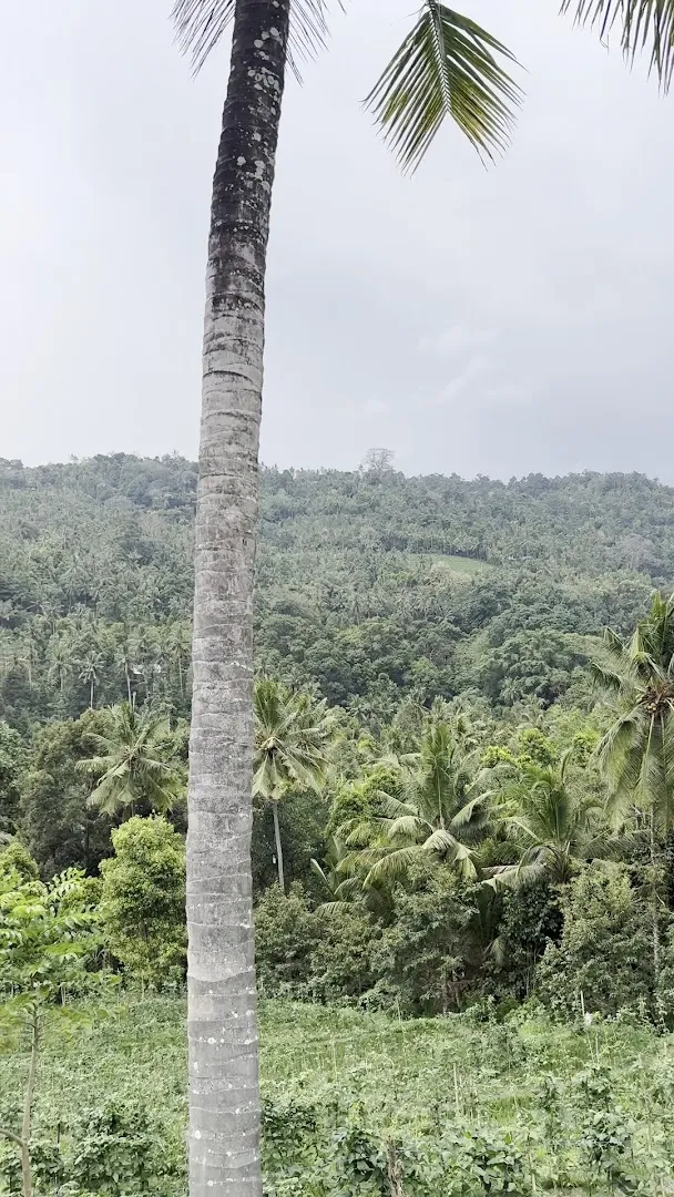 Driver Taxi Service Pemuteran 3