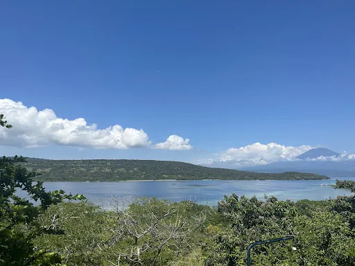 Menjangan Bali Driver Guide 1