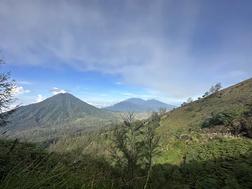 Menjangan Bali Driver Guide 4